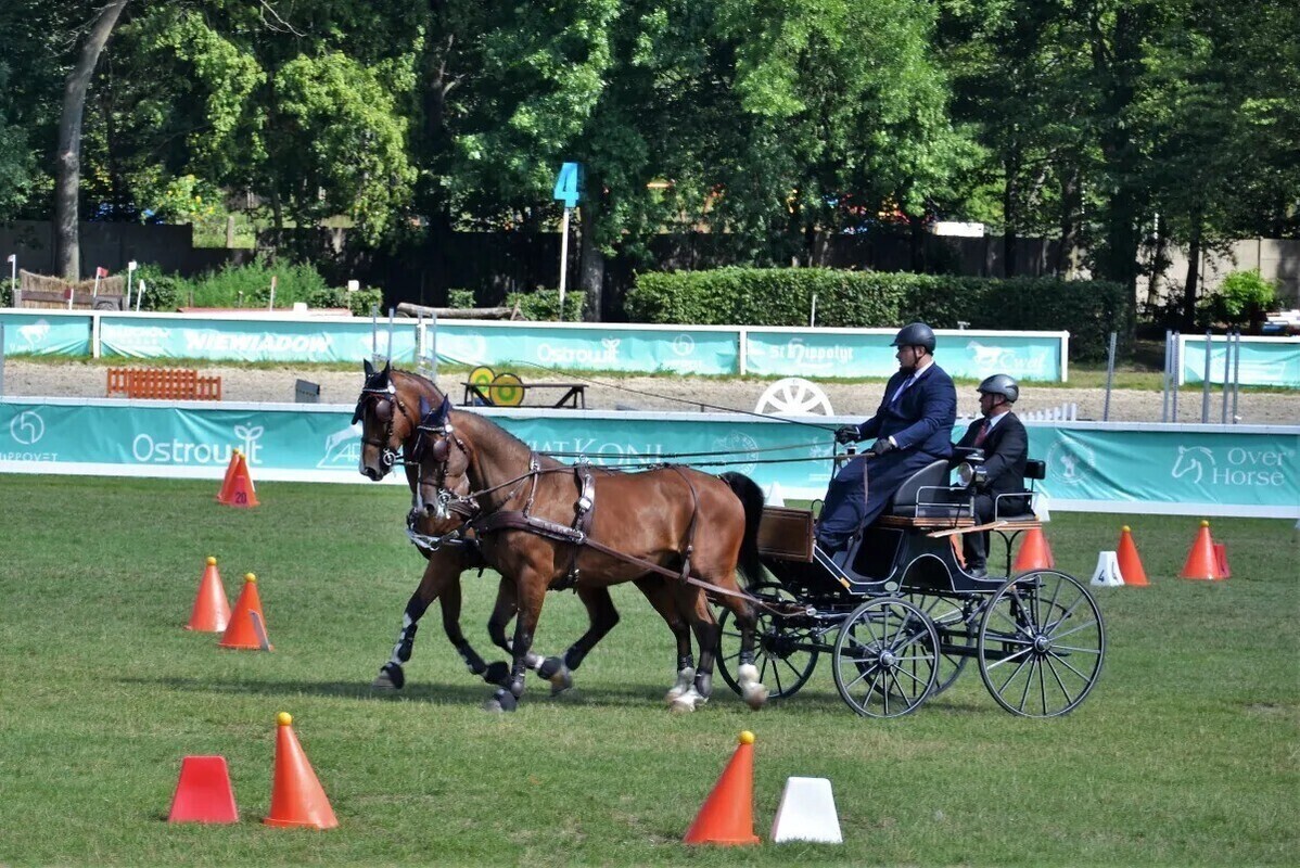 Mistrzostwa Polski w Powożeniu w Bogusławicach