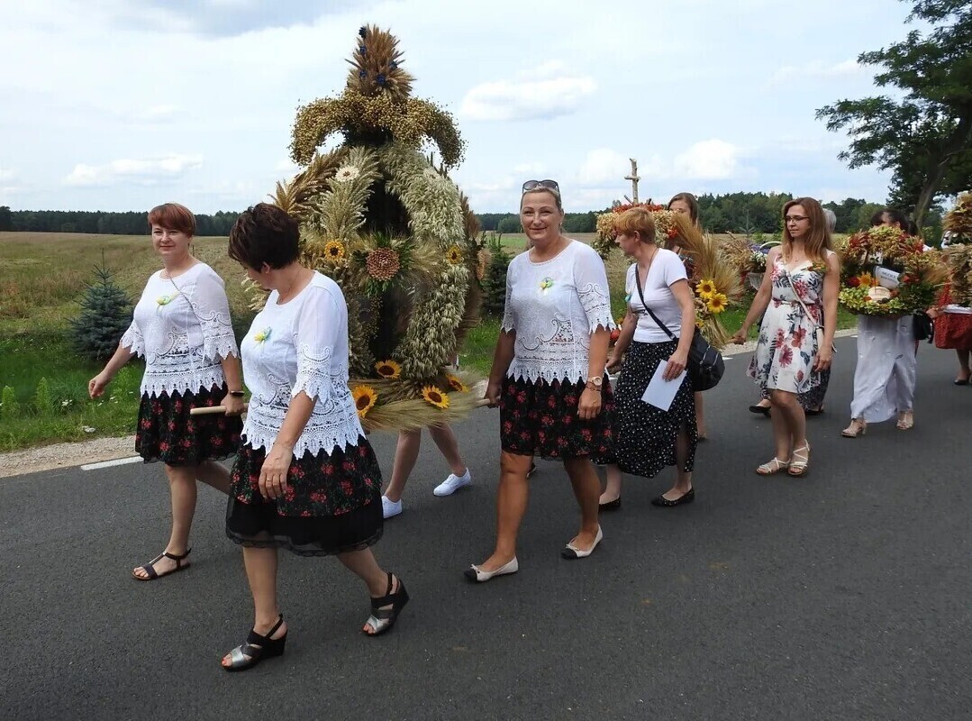 Rolnicy będą świętować w Aleksandrowie