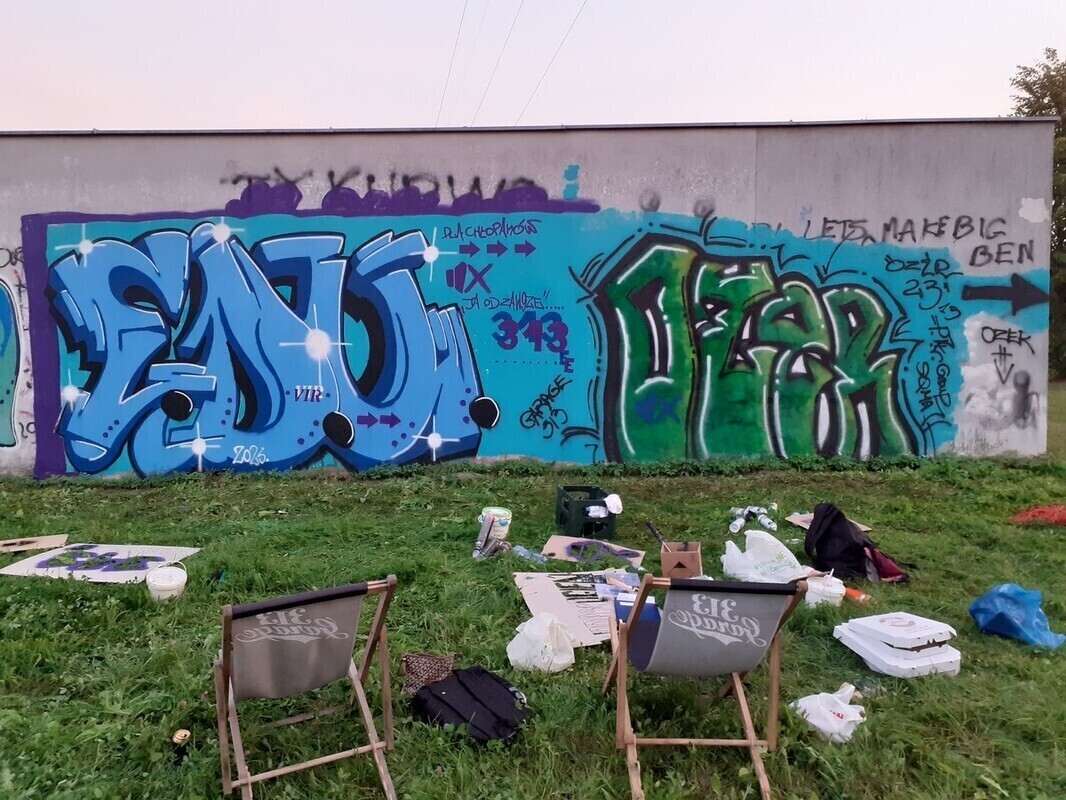 Uliczni artyści ozdabiają garaże