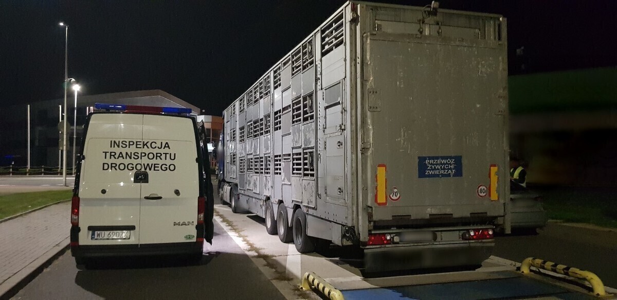 Rekordzista przewożący szamba ważył 175 tony za dużo