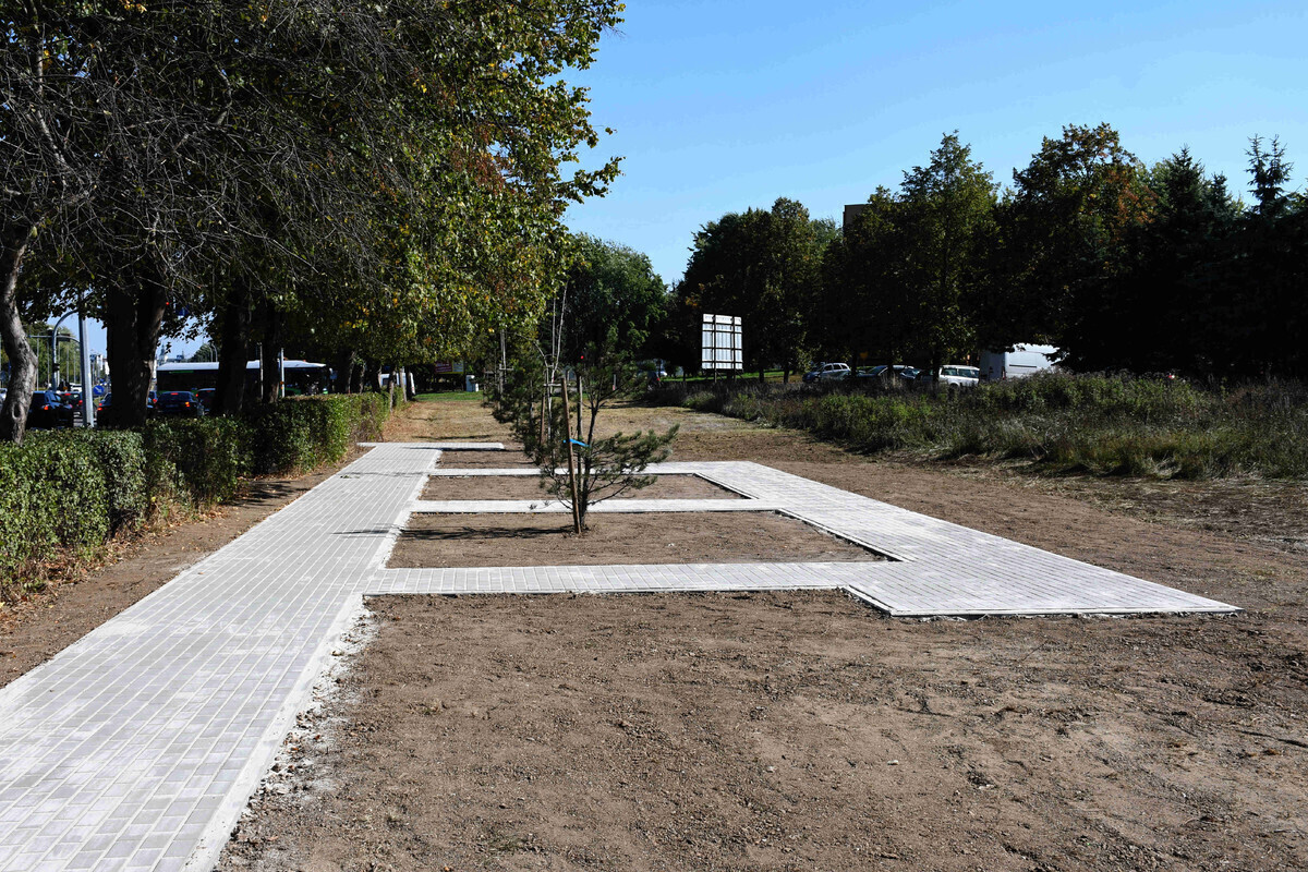 Osiedle Południe w Piotrkowie zyskuje mini-deptak i zieleńce