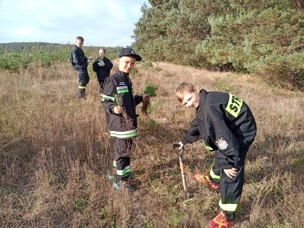 Młodzi strażacy sadzili drzewa