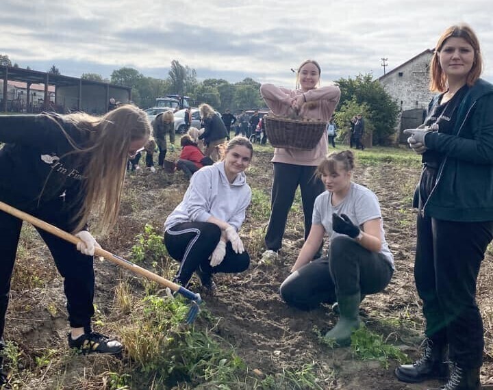 Z motyką na... ziemniaki ZDJĘCIA