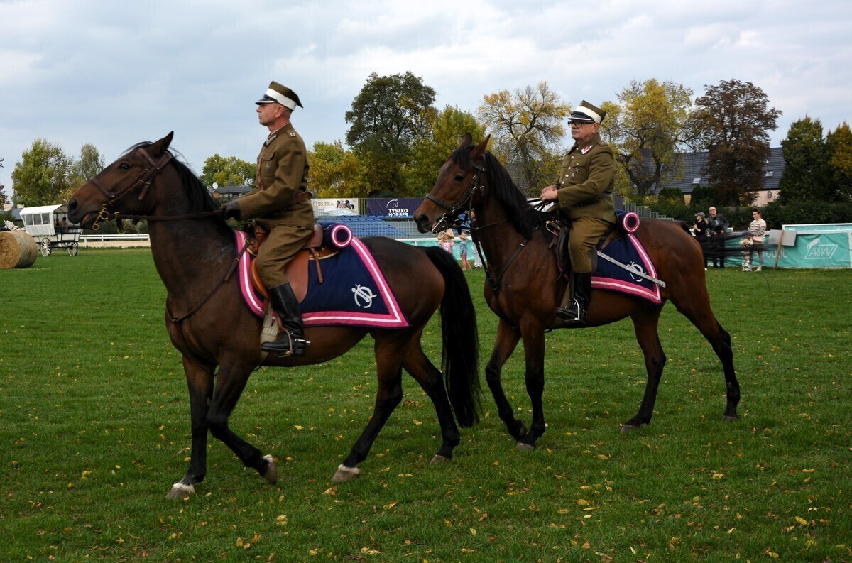 Hubertus w Bogusławicach