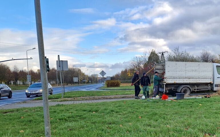 Żywopłot przycięty. Będzie bezpieczniej
