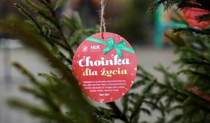 Oddaj krew i zabierz choinkę