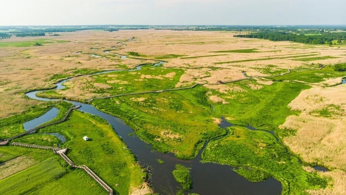 PGE wspiera Magurski Park Narodowy oraz Narwiański Park Narodowy