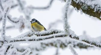 Co z pogodą na weekend? Wróci zima?