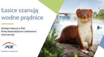 Wiosenna kampania wizerunkowa „PGE Prowadzimy w zielonej zmianie”