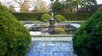 Jak szybko i skutecznie usunąć muł z oczka wodnego?