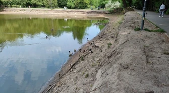 Brakuje wody w parkowym stawie