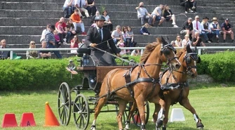 Międzynarodowe zawody i atrakcje dla dzieci