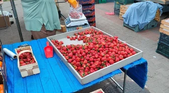 Czy truskawki tanieją?