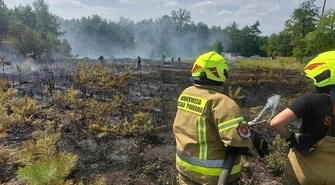 W lasach sucho. Bardzo wysokie ryzyko pożaru