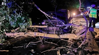 Wypadek pod Piotrkowem. Ford uderzył w przewrócone drzewo