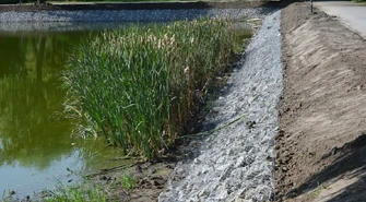 Kamienie przy stawie w parku