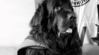 Odszedł zasłużony ratownik