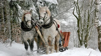 Zimowe, tradycyjne kuligi saniami w Zakopanem z pochodniami, kapelą i ogniskiem