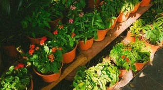 Przed Tobą budowa lub remont? Odwiedź sprawdzony sklep budowlany w Piotrkowie Trybunalskim!