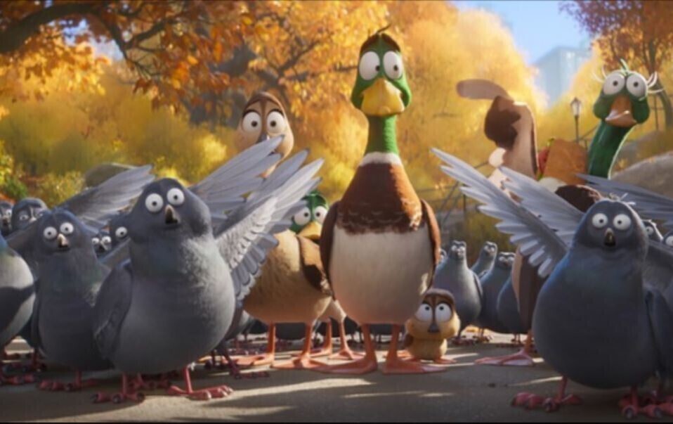 Daj się porwać hitom Heliosa