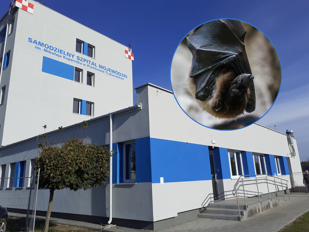 Taka wizyta nie zdarza się co dzień. Skrzydlaty gość odwiedził szpital