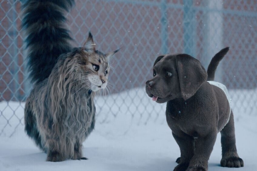 Kolejne nowości na dużym ekranie
