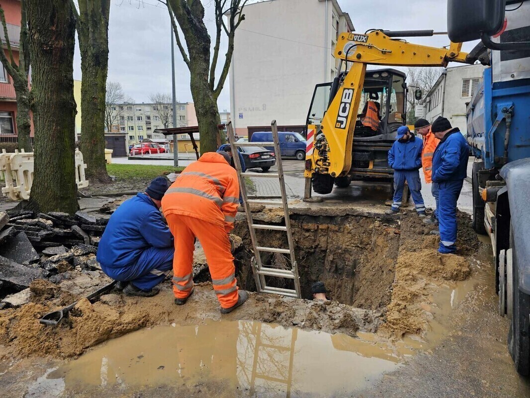Awaria kanalizacji przy Batorego. Przyczyną... korzenie drzew