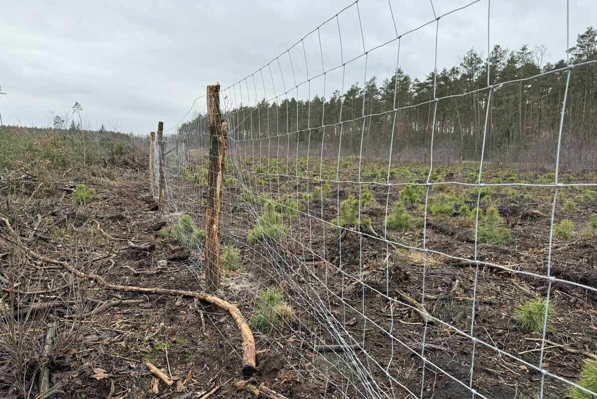 Siatka leśna - szybkie i tanie ogrodzenie budowy
