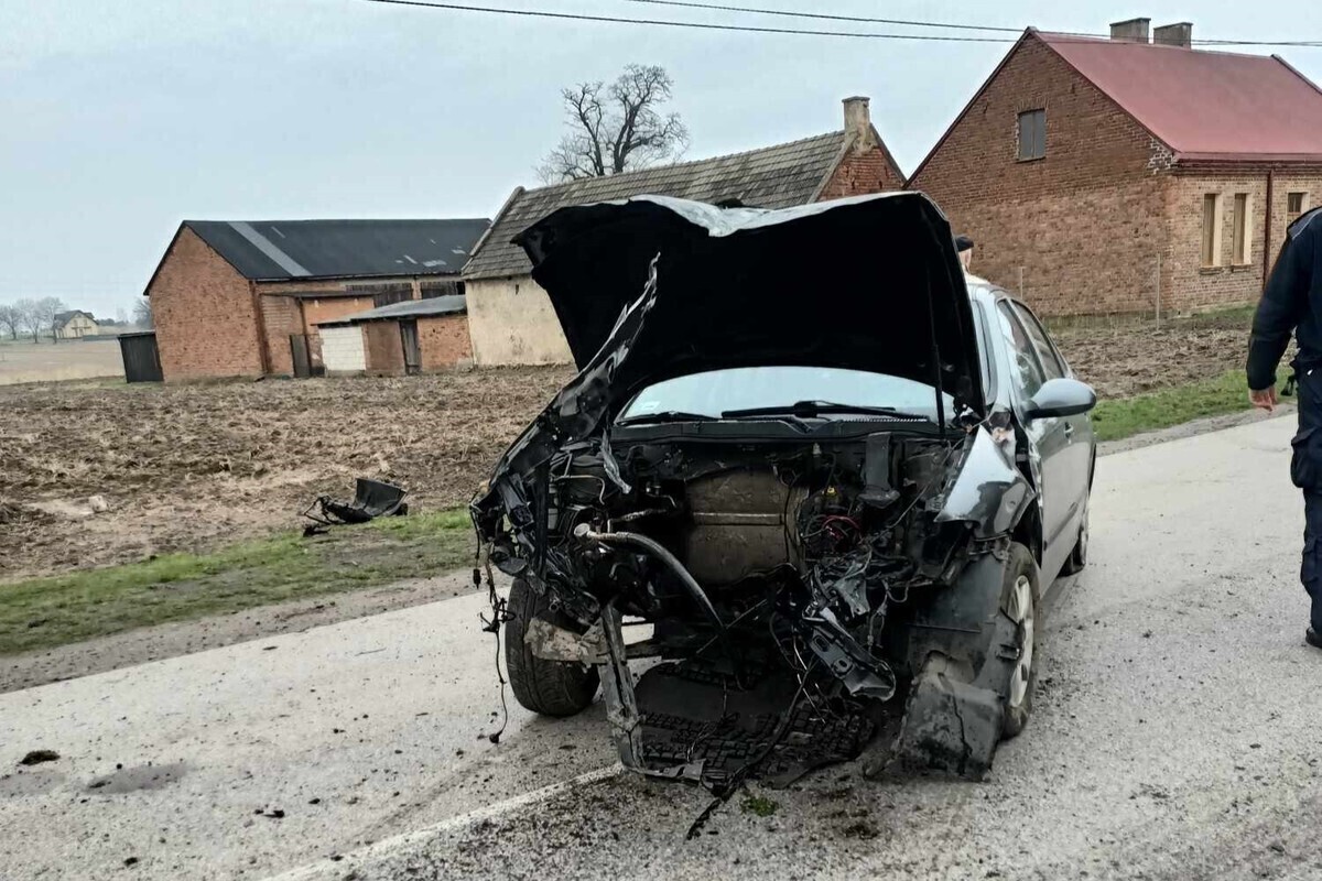 Podróż zakończył na płocie