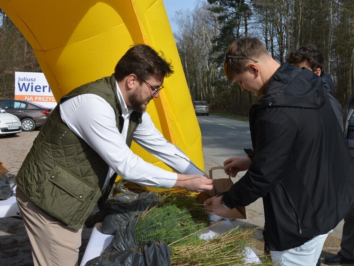 Zmieniamy Piotrków - rozdajemy sadzonki Aktualizacja