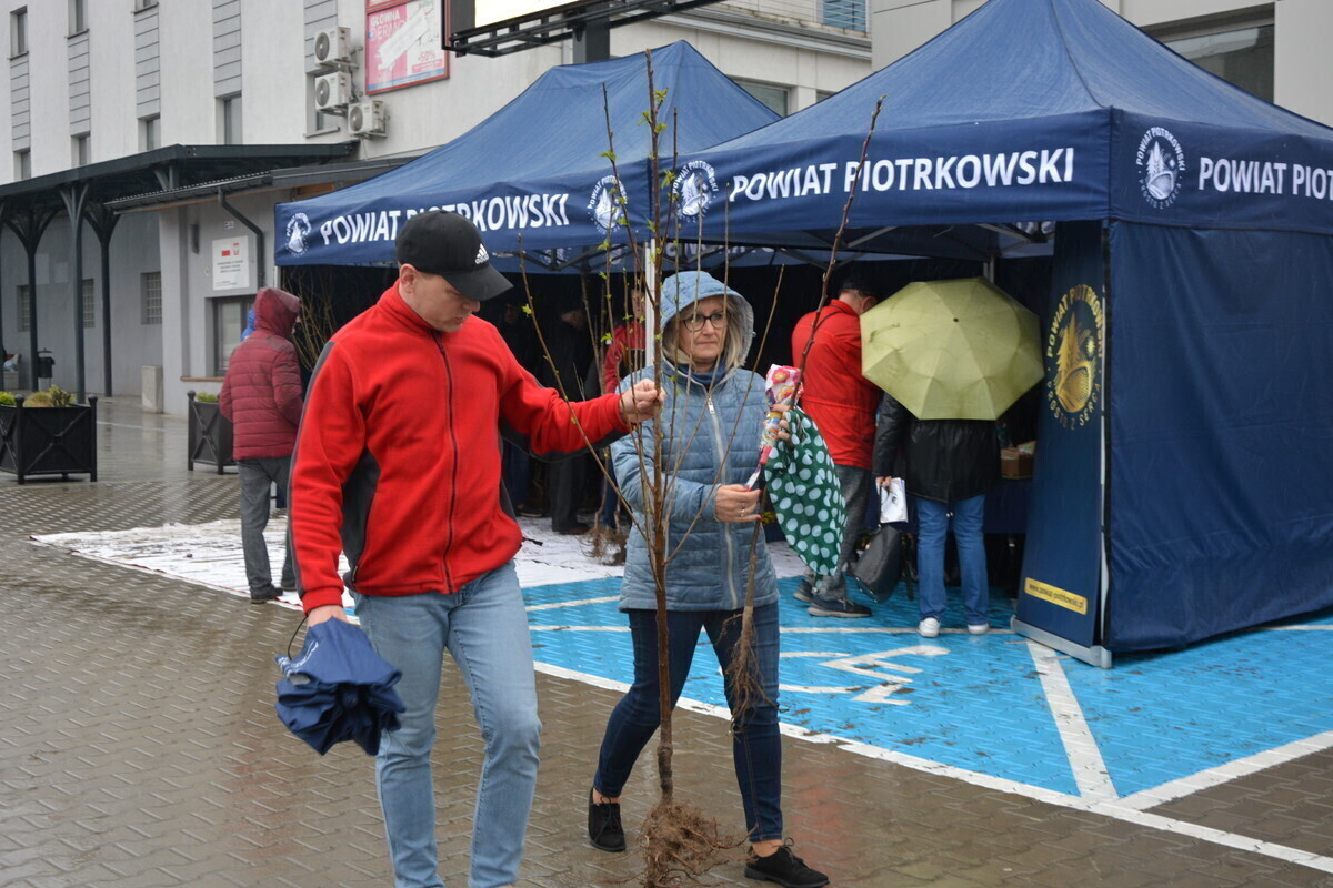 Znów nakręcają na zieleń