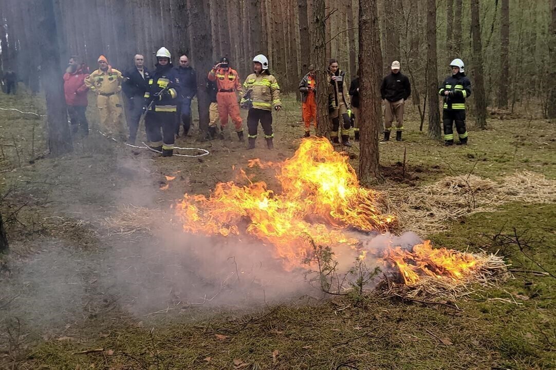 Ćwiczenia terenowe z gaszenia pożarów lasów