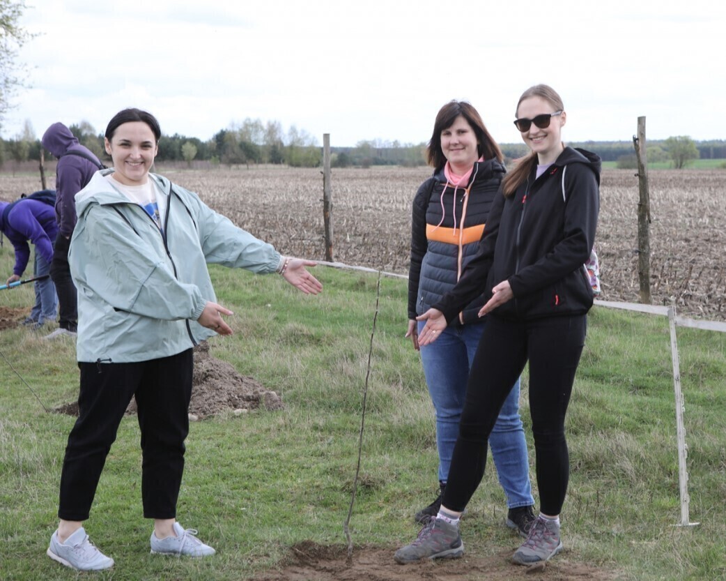 Posadzili ponad 100 drzew dla leśnych zwierząt
