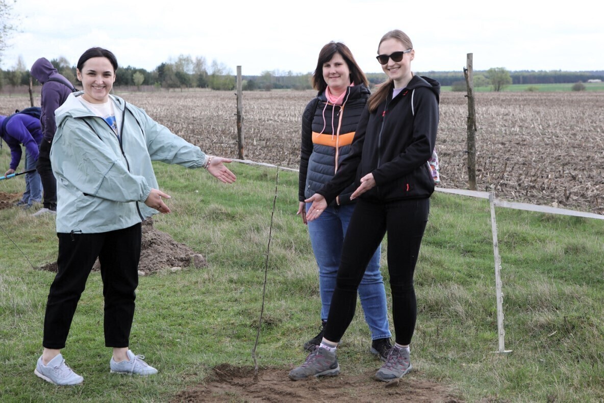 Posadzili ponad 100 drzew dla leśnych zwierząt
