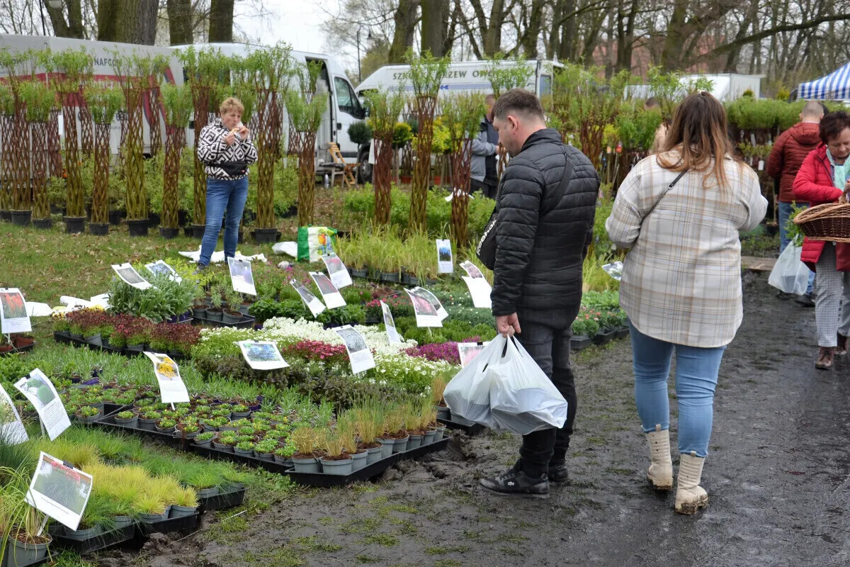 Targi ogrodnicze już po raz 17. w Piotrkowie
