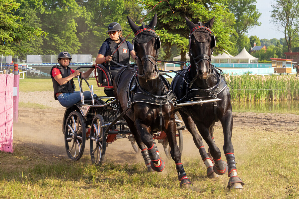 Wielkie emocje i świetna zabawa w Stadzie Ogierów