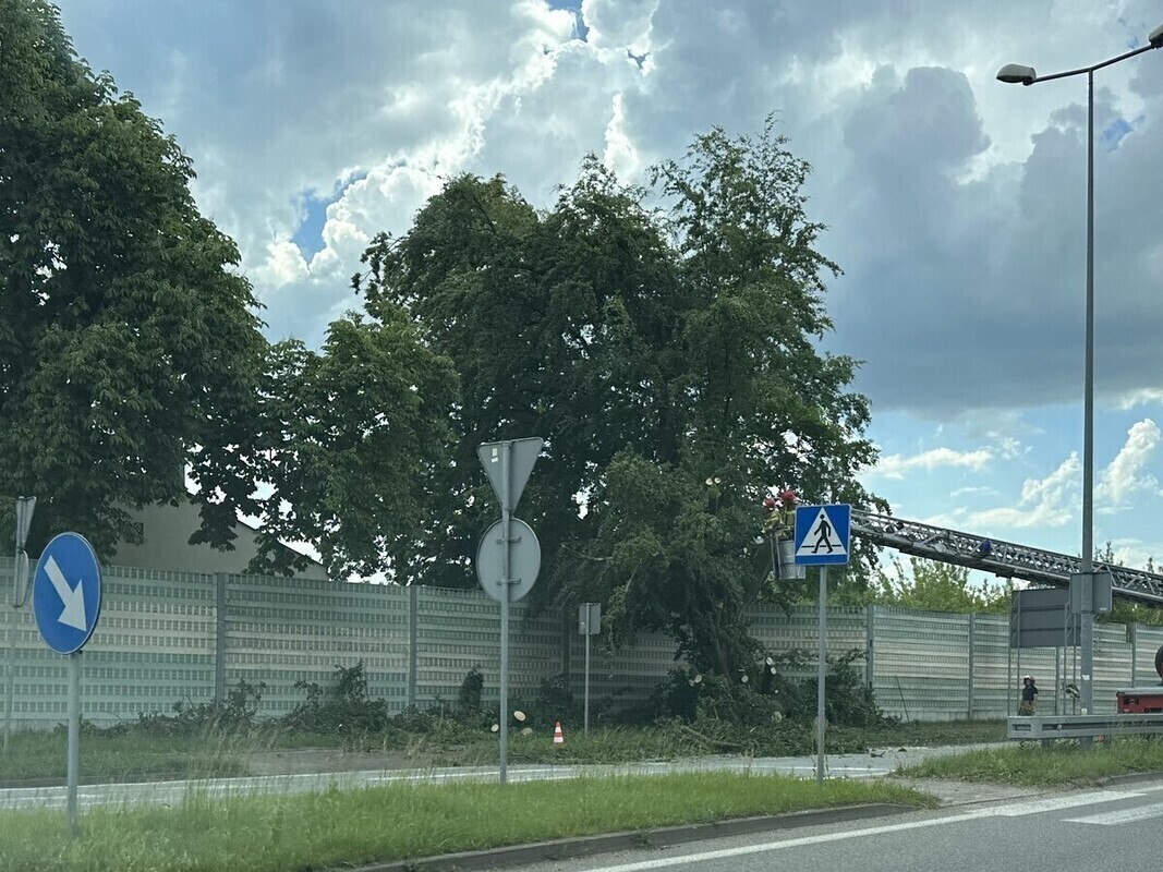 Drzewo przewróciło się na jezdnię. Miast Partnerskich była zablokowana przez ponad godzinę. Interweniowali strażacy