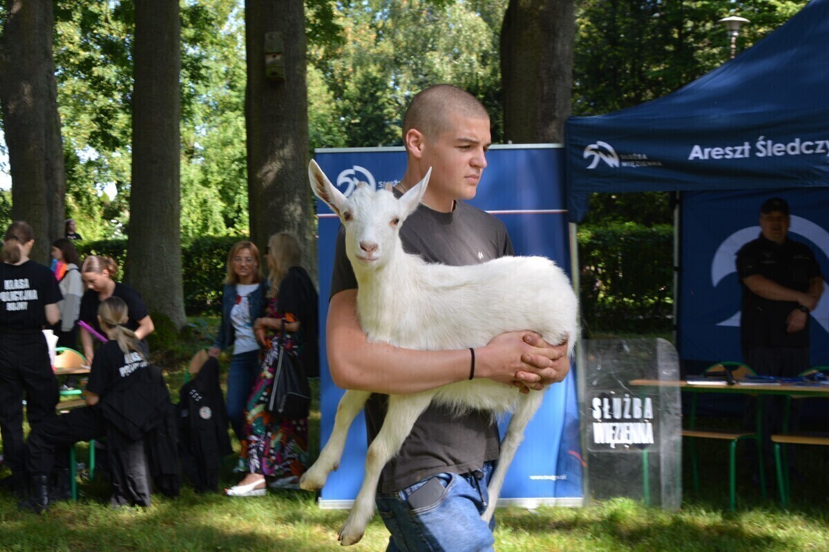 Festyn Zawodowe Lato w Bujnach. Nauka przez zabawę na koniec roku szkolnego
