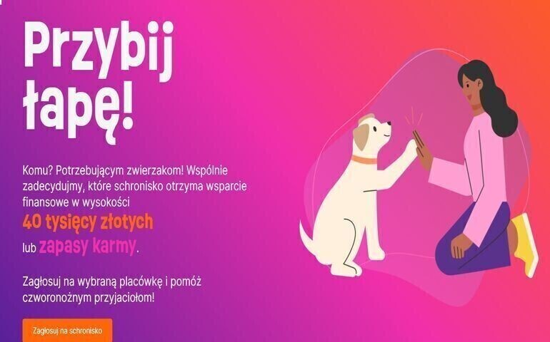 Trwa akcja Przybij łapę. Zagłosuj na schronisko w Piotrkowie