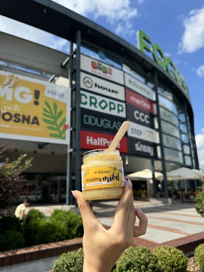 Miód z pierwszych zbiorów w Focus Mall w Piotrkowie