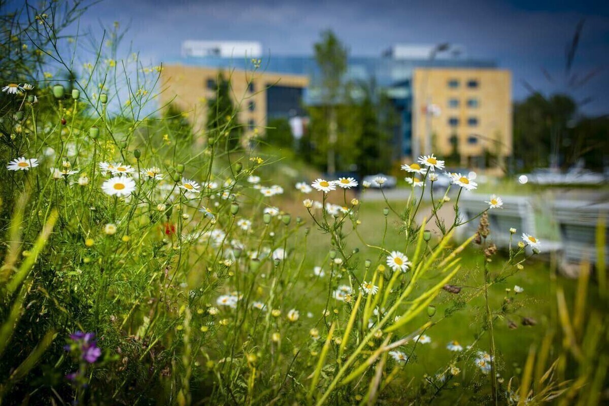 ERGO Hestia na pierwszym miejscu Rankingu ESG. Odpowiedzialne Zarządzanie 2024