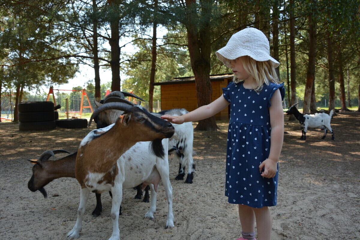Hubisiówka - niezwykłe mini zoo w regionie