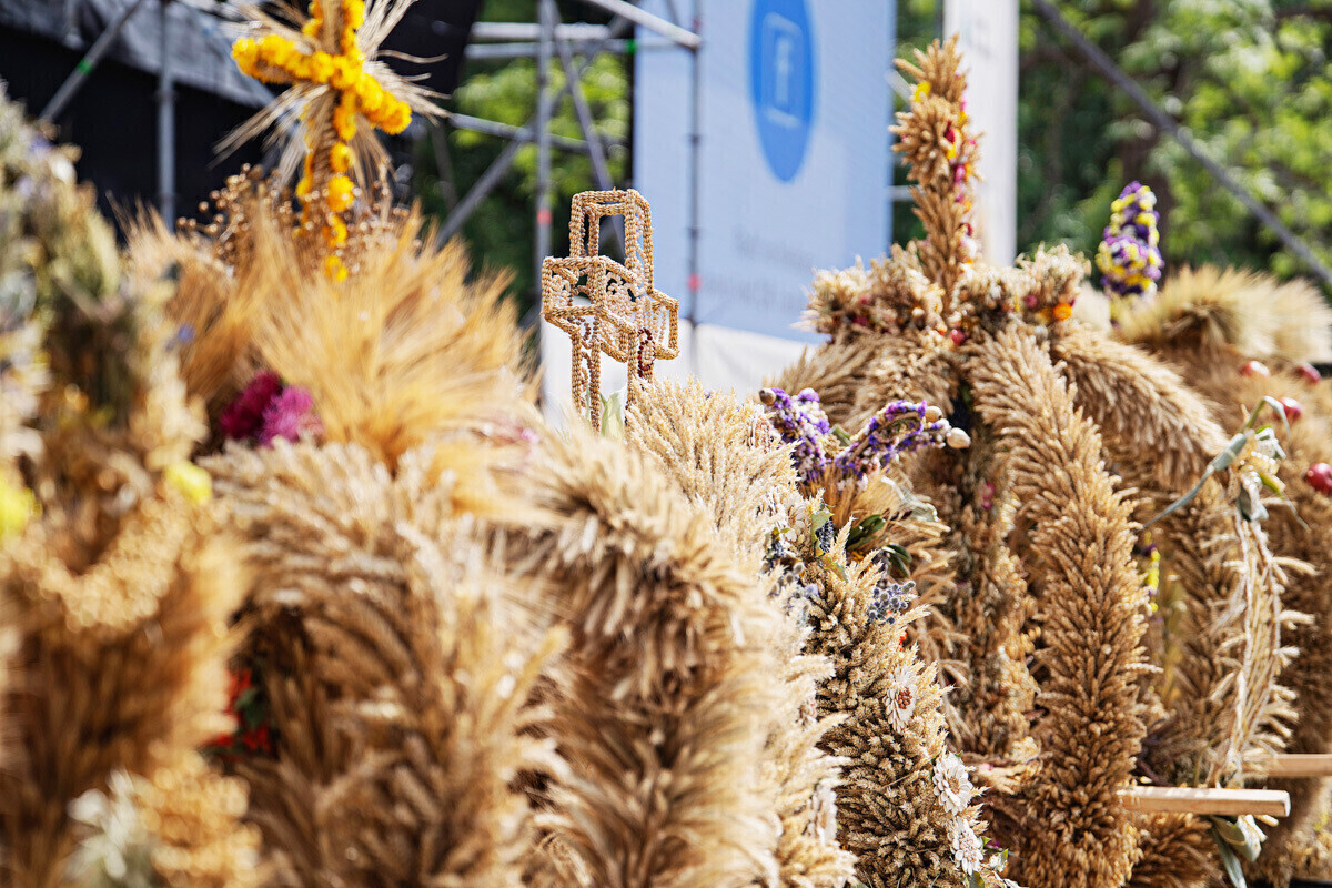 Wieniec z powiatu piotrkowskiego wśród najładniejszych