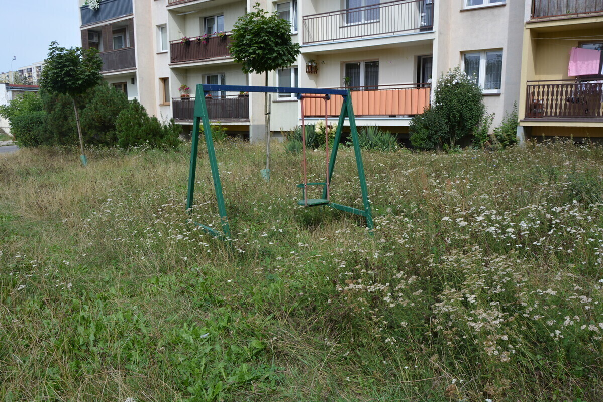 Niedbałość czy ekologia. Kiedy spółdzielnia Karusia skosi trawę przy blokach