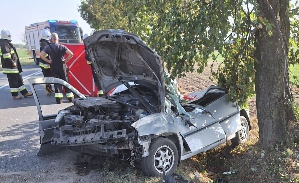 Śmiertelny wypadek w Kalskiej Woli. Nie żyje starszy mężczyzna