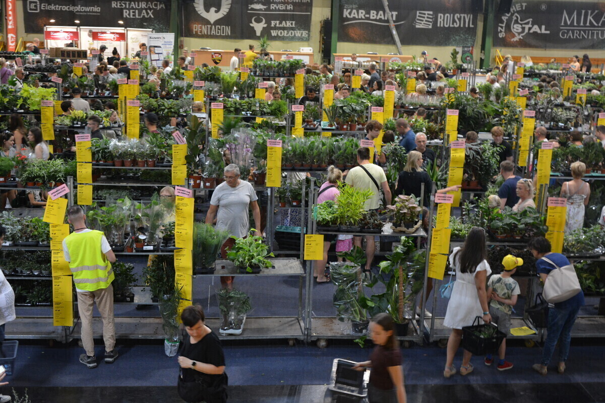 Rozpoczął się drugi dzień Festiwalu Roślin w Piotrkowie. Sprawdź co kupili dziś mieszkańcy