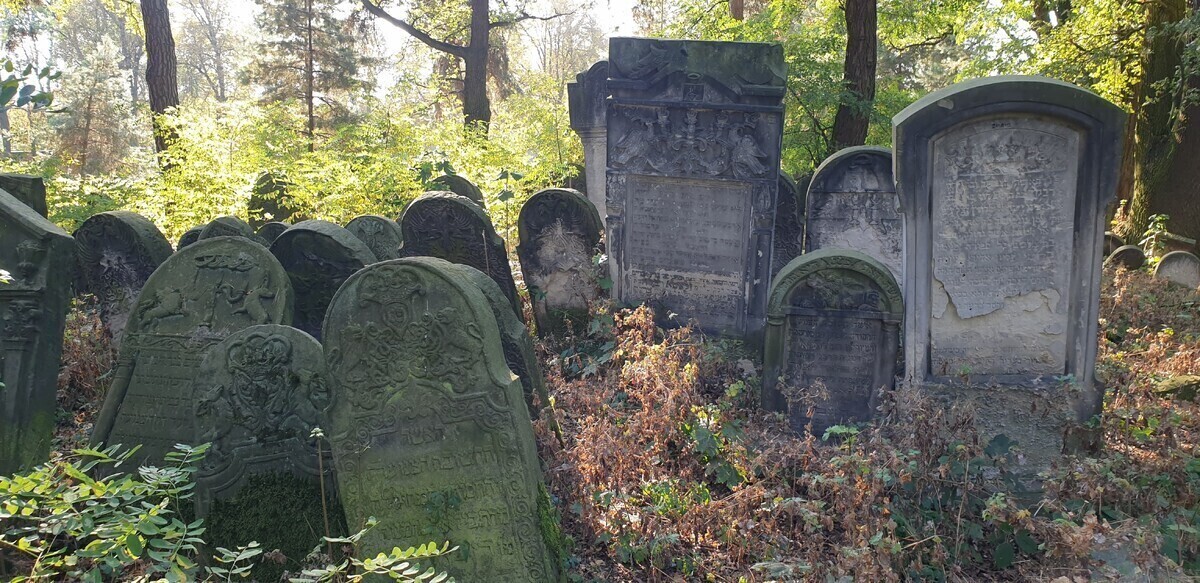 Spacer z CIT-em Żydowskie Kirkuty przyciągnął tłumy piotrkowian