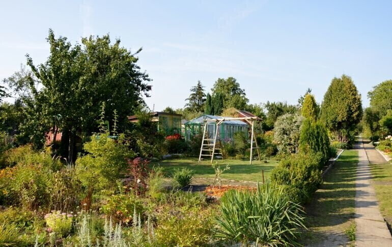 Wiceprezydent Piotrkowa działkowcy nie mają się czego obawiać