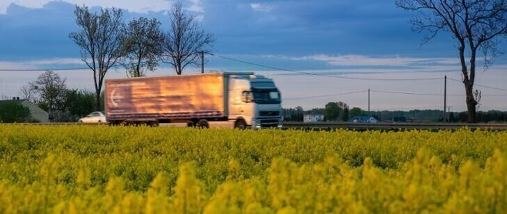 S12 przez gminę Wolbórz