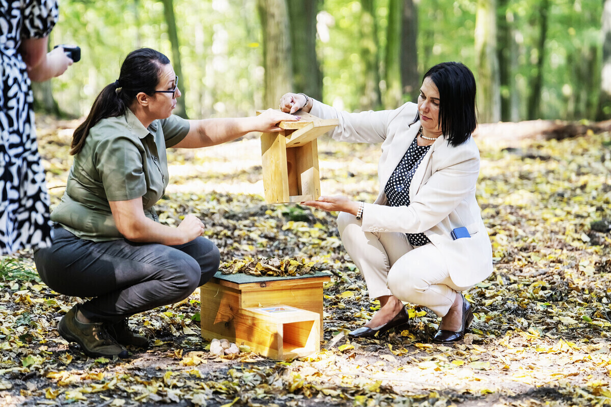 Pomóżmy dzikim zwierzętom przetrwać jesień i zimę